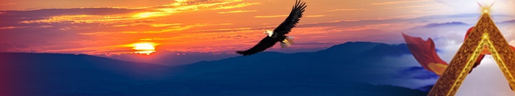 JDB����(�й���)���ٷ���վ