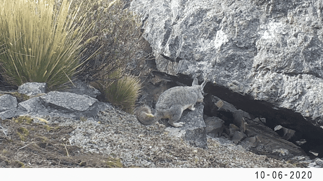 640.gif JDBµç×Ó(ÖйúÇø)¡¤¹Ù·½ÍøÕ¾