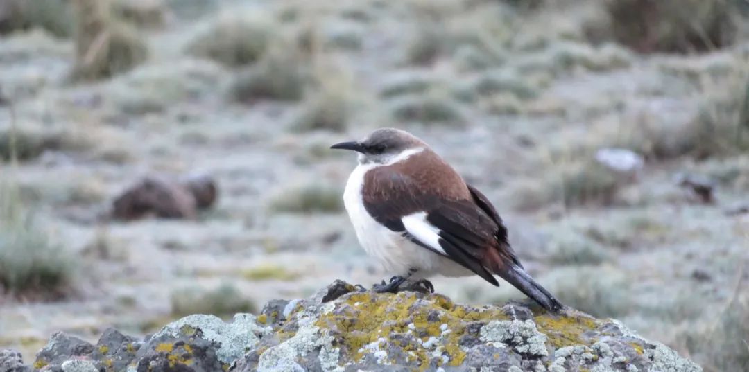 JDBµç×Ó(ÖйúÇø)¡¤¹Ù·½ÍøÕ¾