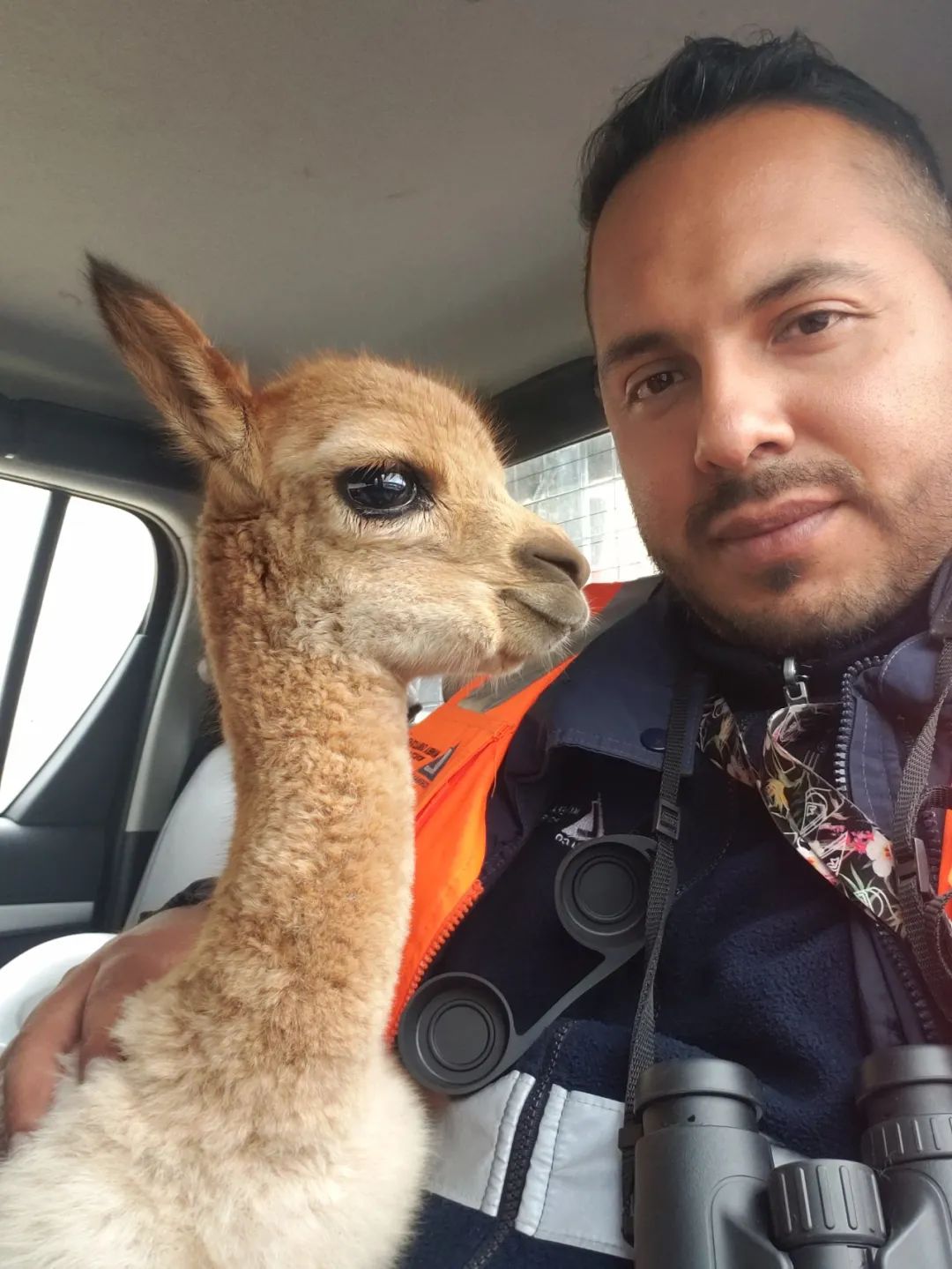 JDBµç×Ó(ÖйúÇø)¡¤¹Ù·½ÍøÕ¾