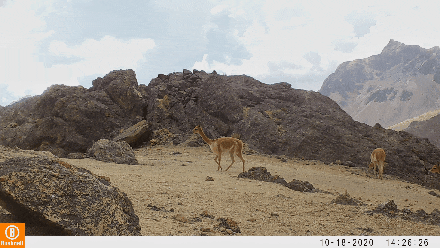 640 (2).gif JDBµç×Ó(ÖйúÇø)¡¤¹Ù·½ÍøÕ¾